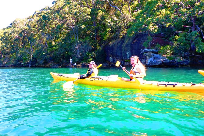 Half-Day Sydney Middle Harbour Guided Kayaking Eco Tour - Pricing and Additional Information