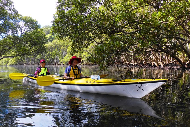 Half-Day Sydney Middle Harbour Guided Kayaking Eco Tour - Directions