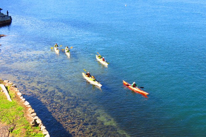 Half-Day Sydney Middle Harbour Guided Kayaking Eco Tour - The Sum Up