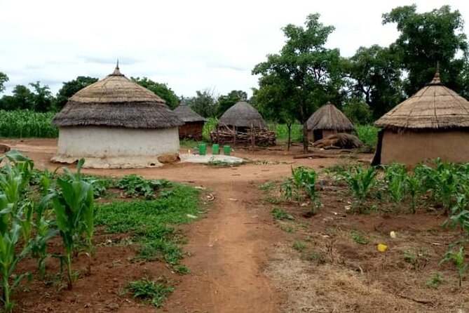 Half Day Tamale City Private Experience - Refund Policy