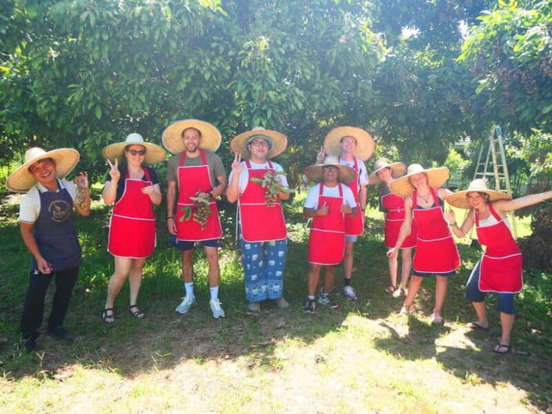 Half-Day Thai Cooking Class on a Local Farm Near Chiang Mai - Good To Know