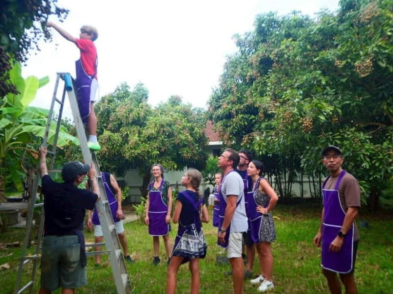 Half-Day Thai Cooking Class on a Local Farm Near Chiang Mai - The Itinerary Breakdown: What You Can Expect