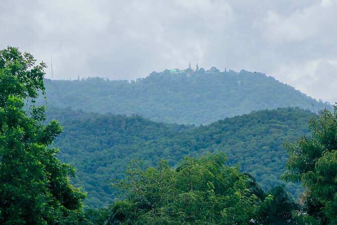Half-Day Thai CookingClass at A Roi Dee Organic Farm in ChiangMai - The Sum Up