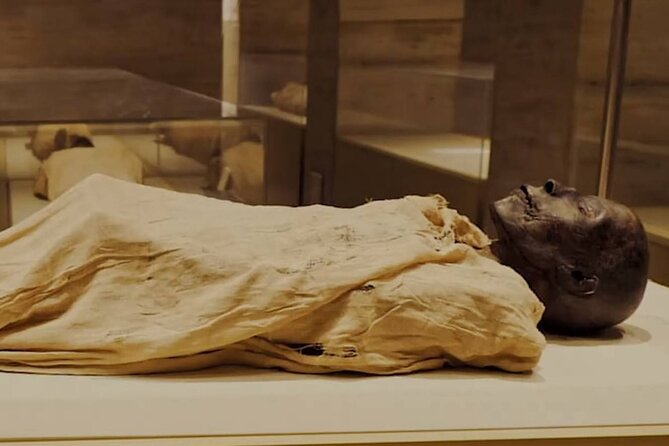 Half-Day The National Museum of Egyptian Civilizatio & 1Hour Felucca Nile Ride - Additional Information