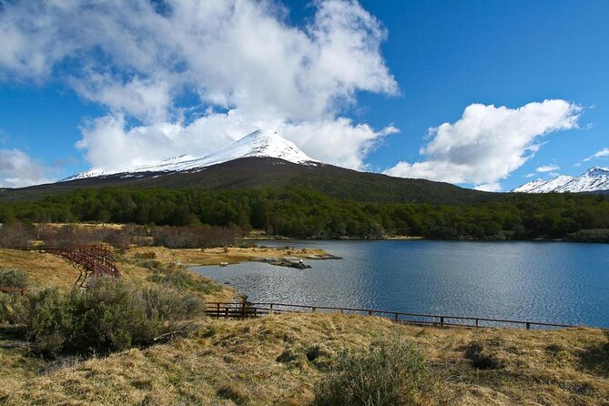Half-Day Tierra Del Fuego National Park With Train (Not Cruise) - Tour Overview
