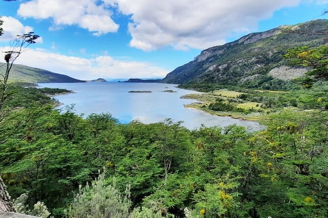Half-Day Tierra Del Fuego National Park With Train (Not Cruise) - Itinerary Highlights
