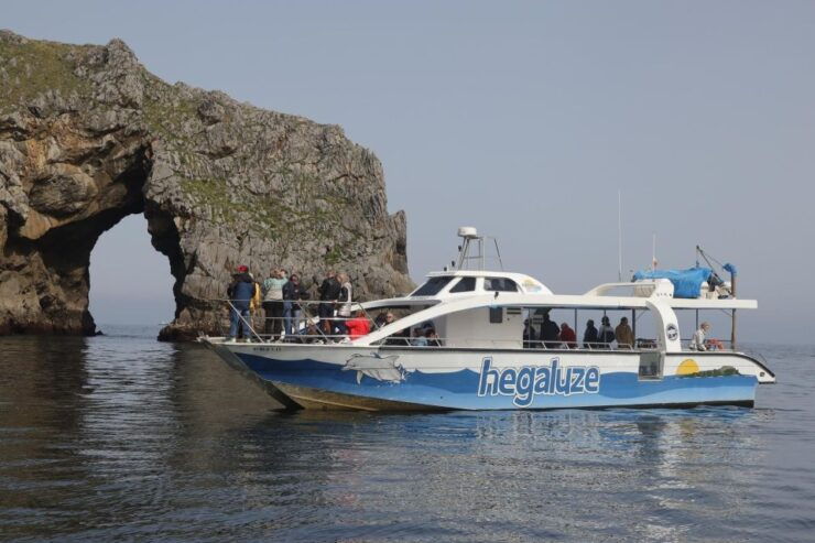 Half Day to Bermeo, Gaztelugatxe and Guernica With Boat Trip - Activity Highlights