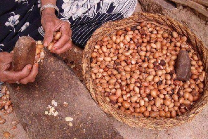 Half-Day to Ourika Valley - Cancellation Policy and Guidelines