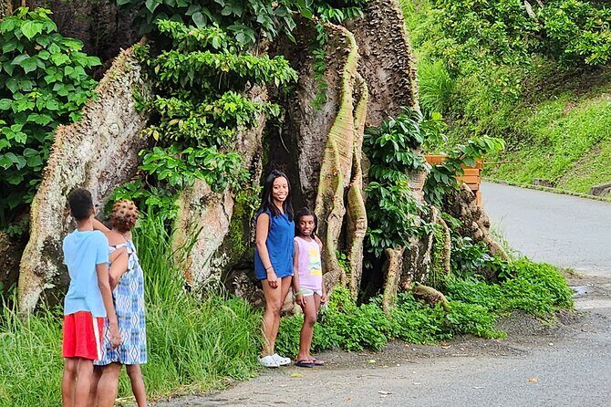Half Day Tobago Tours with Transfers - Good To Know