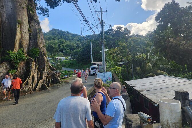 Half Day Tobago Tours with Transfers - Exploring the Itinerary in Detail