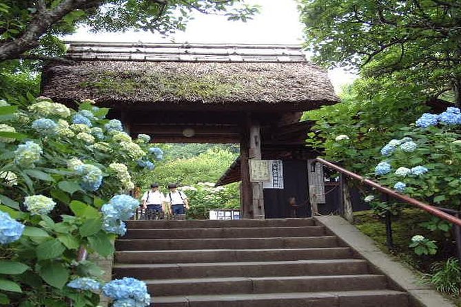 Half-Day Tokyo Tour - Additional Information