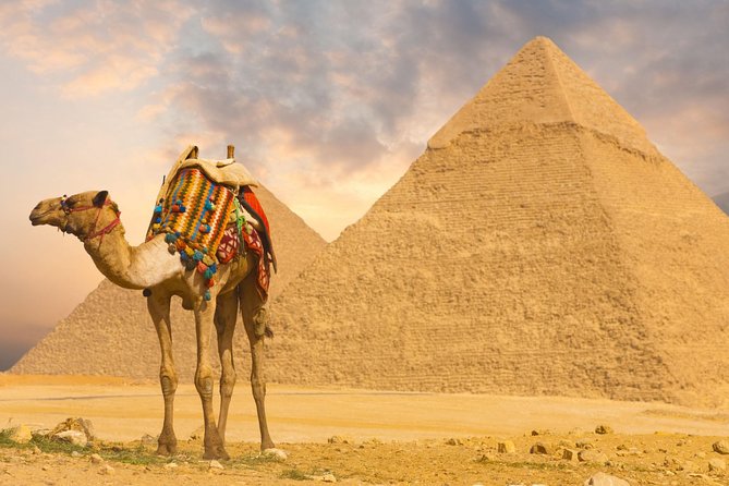 Half Day Tour Adventure for the Pyramids Sphinx 45 Minutes Camel Ride - Pricing Information
