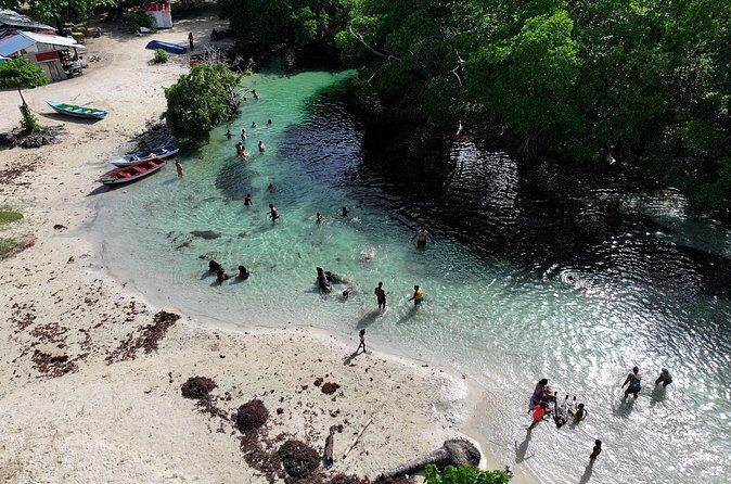 Half Day Tour and Buggie Adventure at Samana - Who Would Love This Experience?