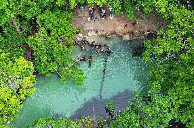 Half Day Tour and Buggie Adventure at Samana - Final Thoughts: Why This Tour Stands Out