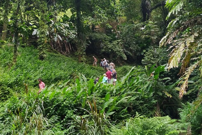 Half Day Tour Anywhere in Martinique - Half Day Tour Itinerary