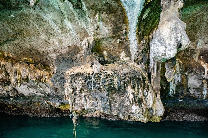 Half Day Tour Around Phi Phi Islands By Private Longtail Boat From Phi Phi - Ending and Cancellation Policy