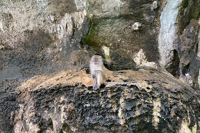 Half Day Tour Around Phi Phi Islands By Private Longtail Boat From Phi Phi - Common Questions