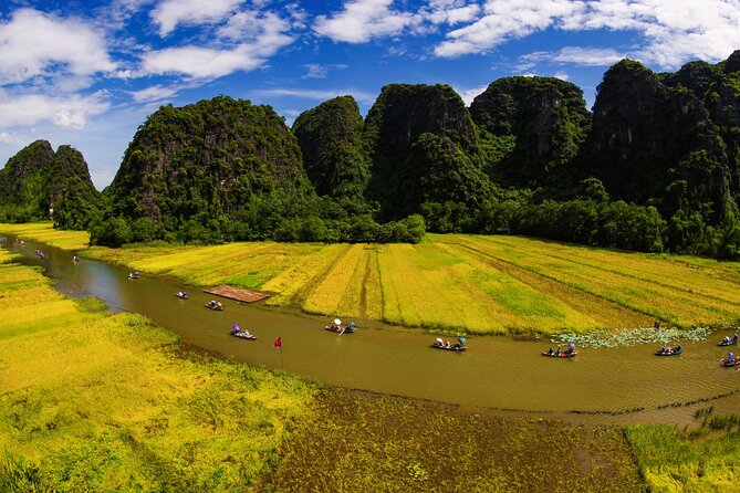 Half Day Tour at Ninh Binh Field - Professional English Speaking Guide