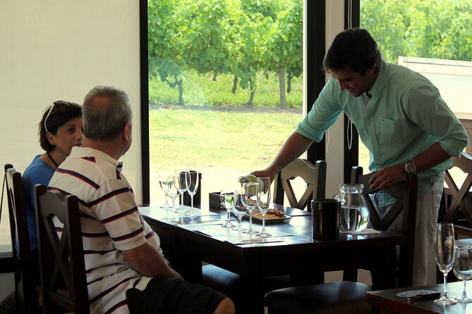 Half Day Tour at Pizzorno Winery With Lunch and Wine Tasting - Tour Overview