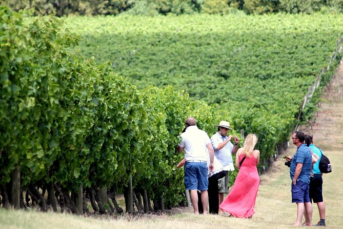 Half Day Tour at Pizzorno Winery With Lunch and Wine Tasting - Lunch Details