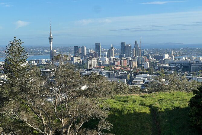 Half-Day Tour: AUCKLAND CITY Highlights with Hotel Pickup - Auckland City Highlights Half-Day Tour with Hotel Pickup: A Practical and Authentic Look