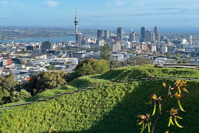 Half-Day Tour: AUCKLAND CITY Highlights with Hotel Pickup - An In-Depth Look at the Tour Itinerary