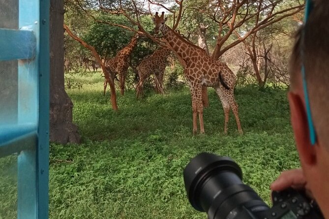 Half Day Tour :Bandia Animals Reserve - Booking Process