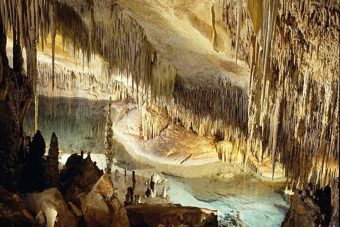 Half Day Tour Bus to the Caves of Drach - Important Information