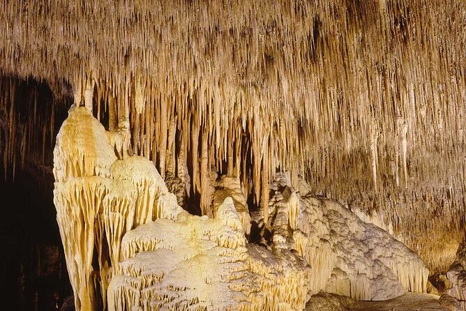 Half Day Tour Bus to the Caves of Drach - Booking and Cancellation Policy