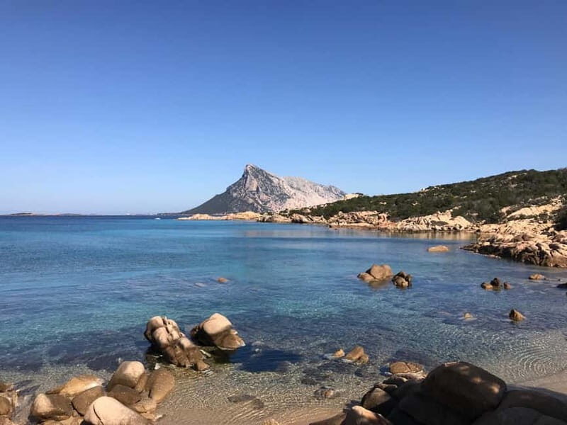 Half-day tour by dinghy in the Tavolara Marine Protected Area - Good To Know