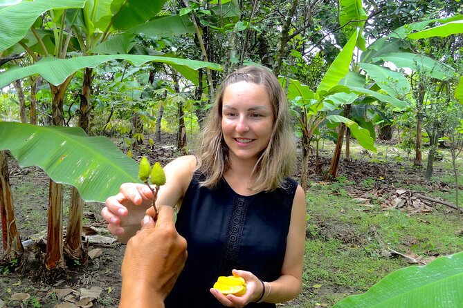 Half Day Tour Cacao Farm & Guayaquil City a Perfect Combination.. - Private Guided Exploration