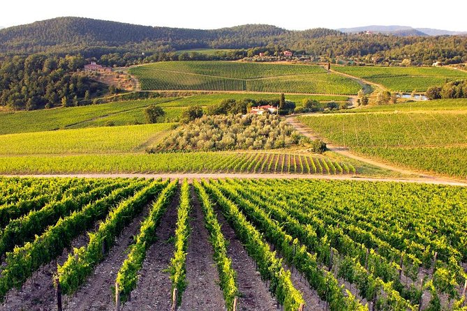 Half Day Tour Chianti Winery With San Gimignano - Inclusions and Logistics