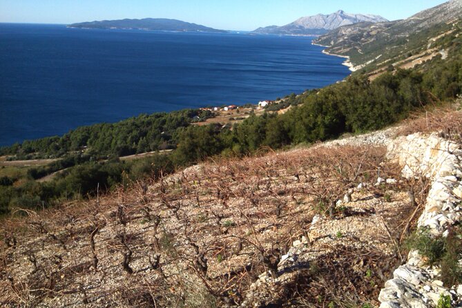 Half Day Tour - Deep and Dark Red Wine of Pelješac - Accessibility and Logistics