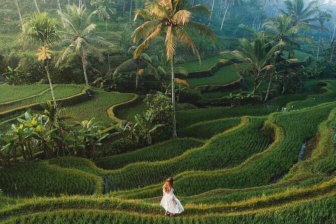 Half Day Tour: Discover Best of Ubud in 5 Hours - Good To Know  