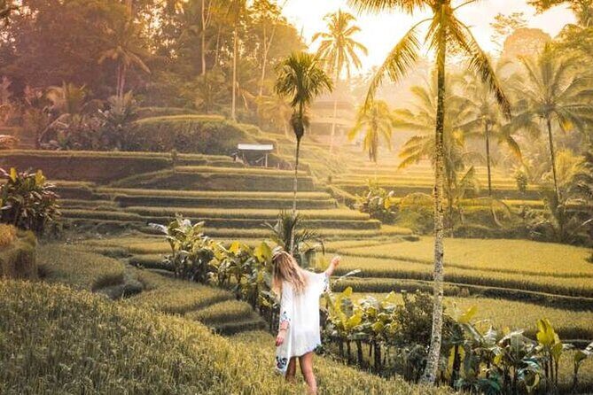 Half Day Tour: Discover Best of Ubud in 5 Hours - An In-Depth Look at the Ubud Half-Day Tour  
