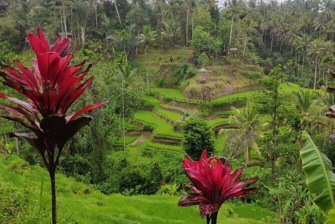 Half Day Tour: Discover Best of Ubud in 5 Hours - Final Thoughts