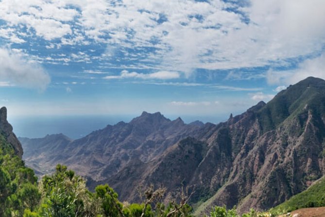 Half Day Tour Discovering Anaga Tenerife - Meeting and Pickup