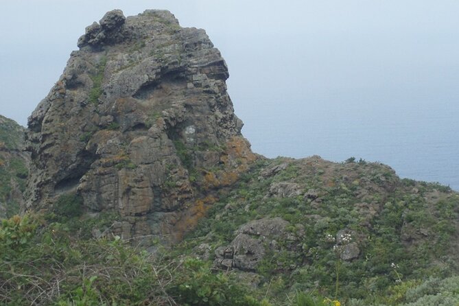 Half Day Tour Discovering Anaga Tenerife - Traveler Photos