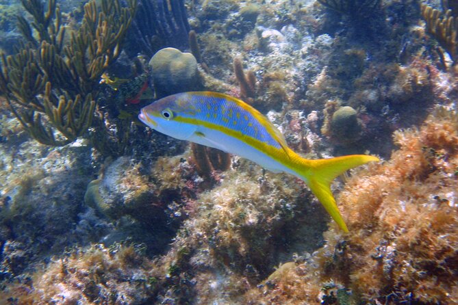 Half-Day Tour Discovering Sian Kaan With Lunch - Additional Information
