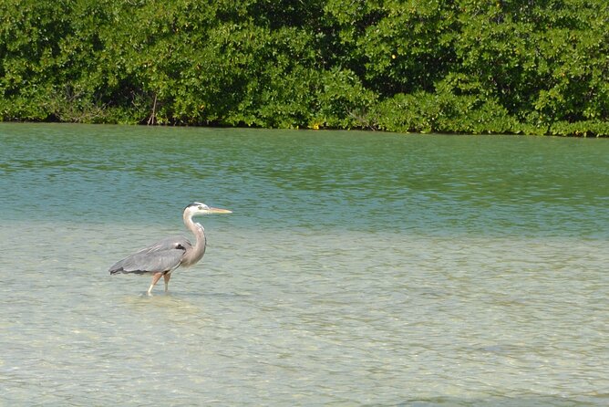 Half-Day Tour Discovering Sian Kaan With Lunch - Directions
