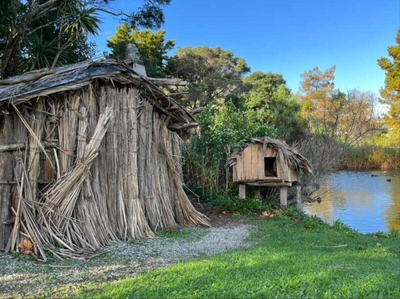 Half-Day Tour - EAST AUCKLAND Explorer & Scenic Ferry Return - FAQ