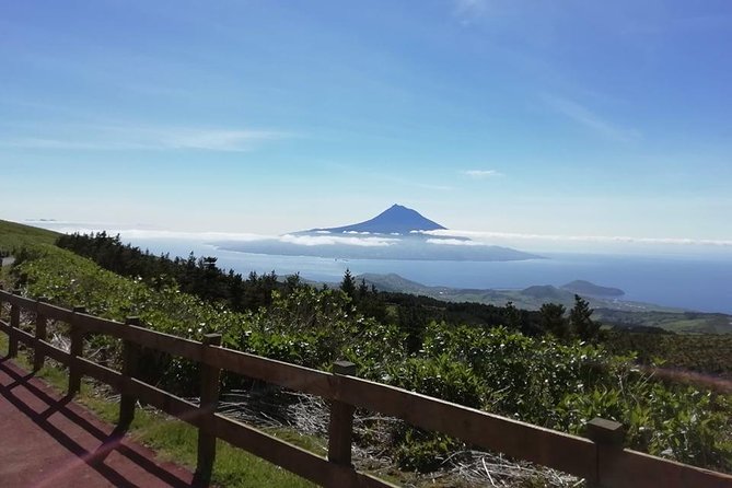 Half Day Tour - Faial Island - Traveler Photos and Visuals