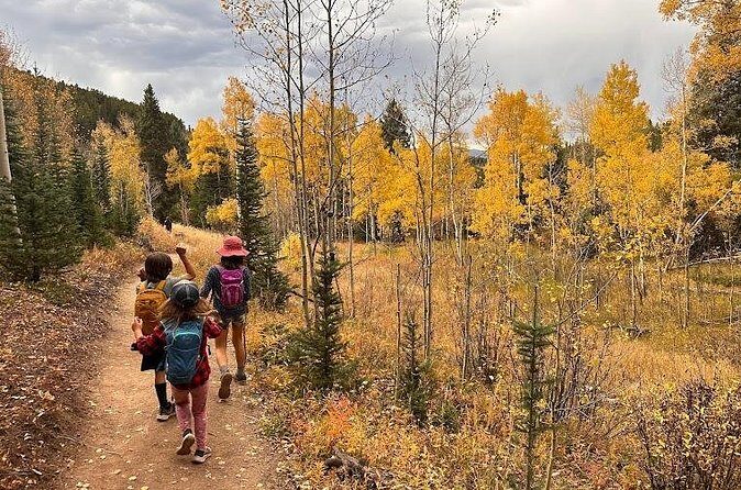 Half Day Tour from Denver Private Guided Hike with Curated Picnic - Who Is This Tour Best For?