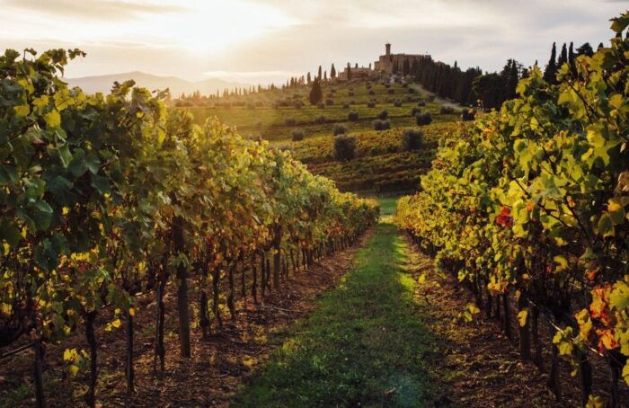 Half-Day Tour from Florence: Chianti Colors & Flavors - Pros and Cons at a Glance