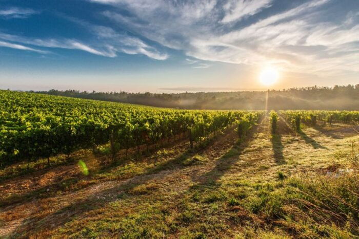 Half-Day Tour from Florence: Chianti Colors & Flavors - FAQ