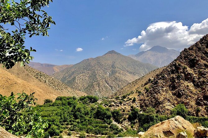 Half Day Tour From Marrakech to the Atlas Mountains & Ourika Valley - Traveler Photos and Reviews