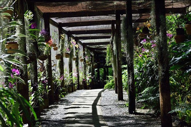 Half Day Tour From Nadi Includes Local Markets, Orchid Gardens and Local Village - Shore Excursions - Common Questions