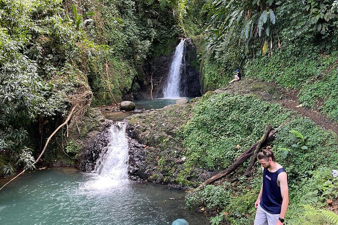 Half day tour: Grenada Seven Sisters Hike and Grand Etang Lake - Authentic Insights from Reviewers