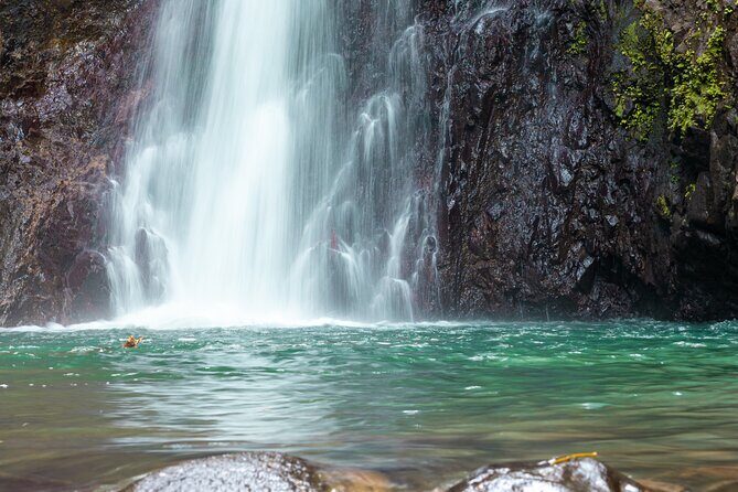 Half day tour: Grenada Seven Sisters Hike and Grand Etang Lake - Why This Tour Is Worth Your Time
