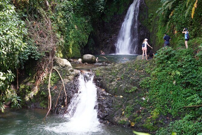 Half day tour: Grenada Seven Sisters Hike and Grand Etang Lake - Who Should Consider This Tour?